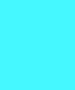 monthly color contact lens